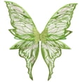 thumbnail image 6 of Hansber Kids Girls Sleeveless Camisole Leotard Tutu Dress with Fairy Wings 2-Piece Fairytale Princess Outfits Set Green 6, 6 of 6