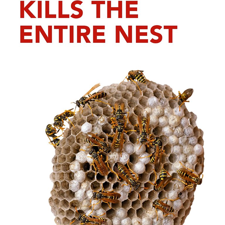 RAID® WASP KILLER 33, 57 OFF