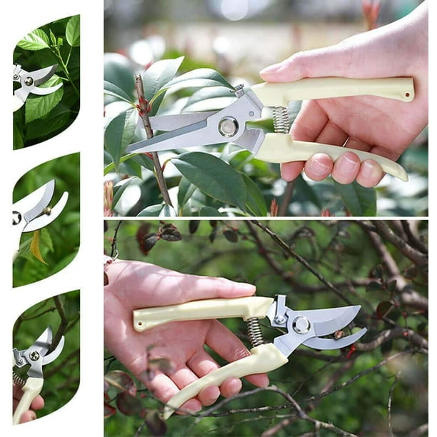 Sharp garden scissors deals