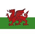 thumbnail image 3 of Wales Country Flag, Letterpress (100% Cotton Tea Towel, Decorative Hand Towel, Kitchen and Home), 3 of 3