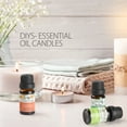 thumbnail image 2 of PHATOIL 6pcs Essential Oils Set for Diffusers Humidifier 100% Pure,for Massage Bath Sleep (10ml), 2 of 12