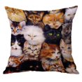 thumbnail image 2 of simhoa Animal Pattern Pillow Replacement Case Cover for Sofa Car Bed Accessory Cat Cat 60x60cm, 2 of 8