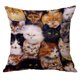 thumbnail image 2 of Funda de cojín cuadrada perfecl Automóvil Gato 60x60cm, 2 of 8
