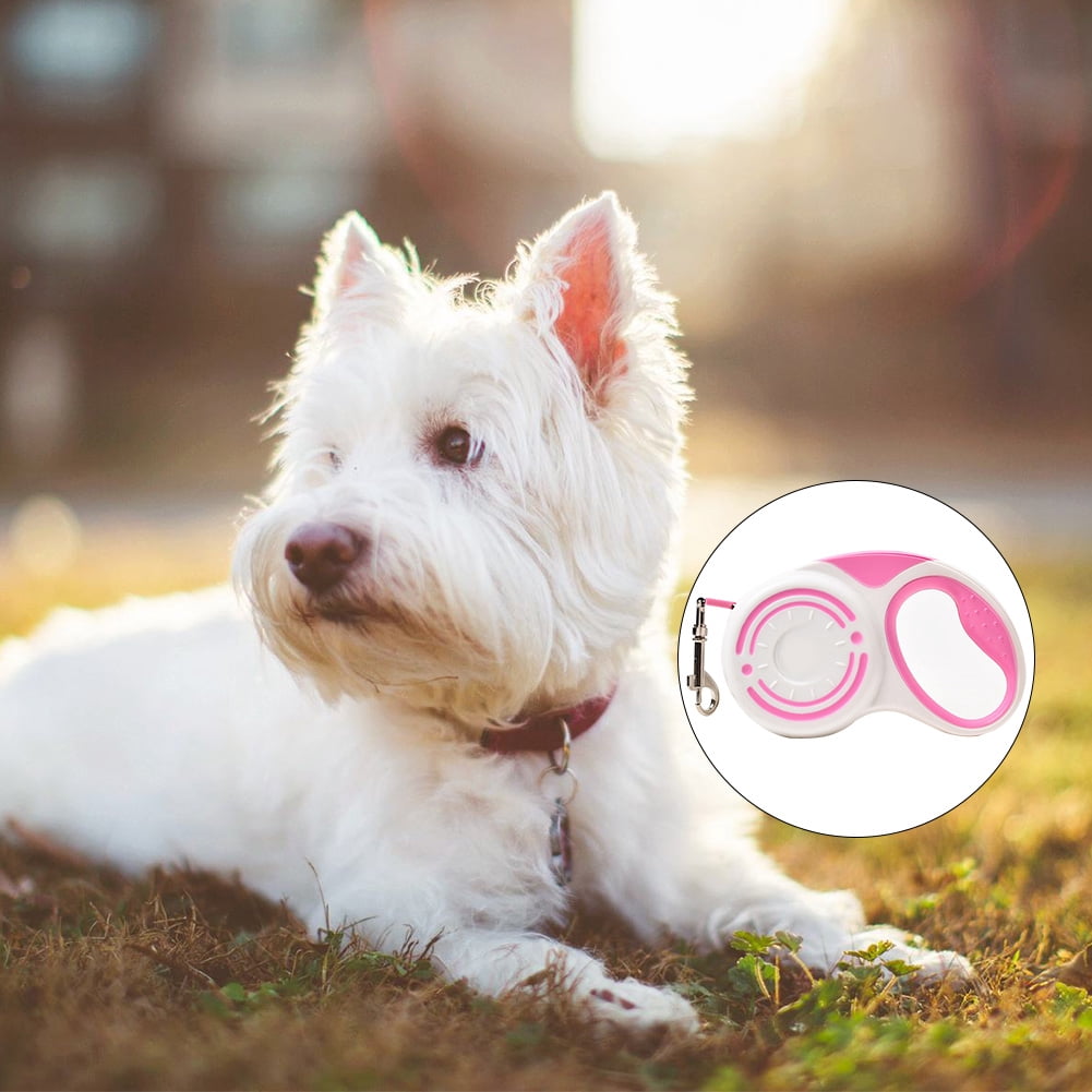 walmart dog supplies