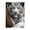 500 Pieces, variant on 500-Piece Wooden Jigsaw Puzzle for Adults - White Tiger , Fun & Relaxing Family Game, No-Dust Interlocking Pieces, Perfect Wall Decor & Holiday Gift