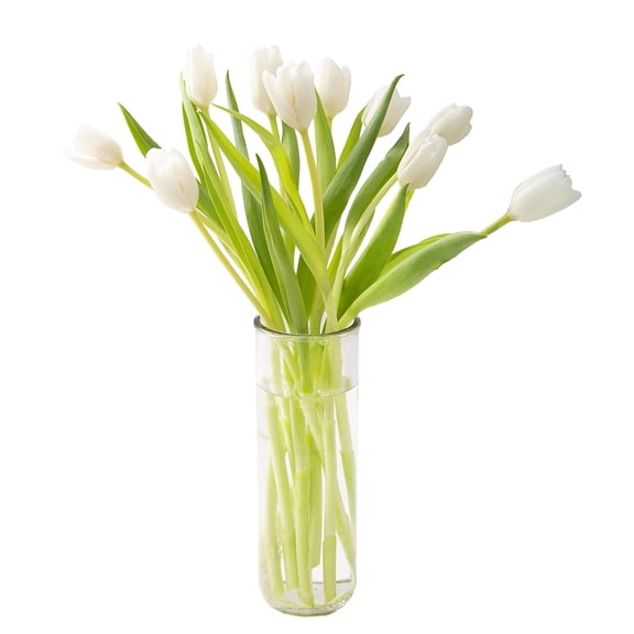 KaBloom : Bouquet of 10 White Tulips, Next-Day Delivery, Gift for Every Occasion