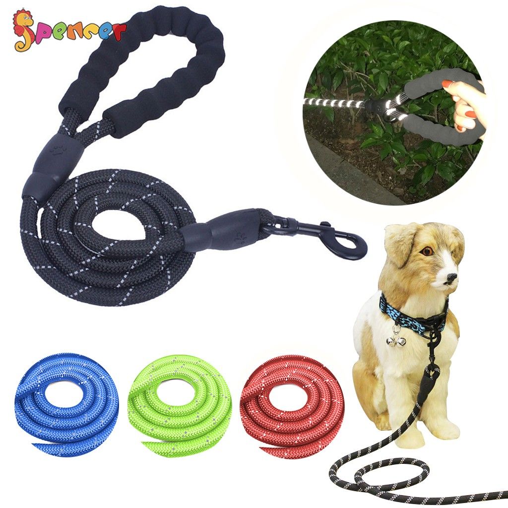 Spencer 5ft Long Braided Reflective Rope Dog Leash, Heavy Duty Training