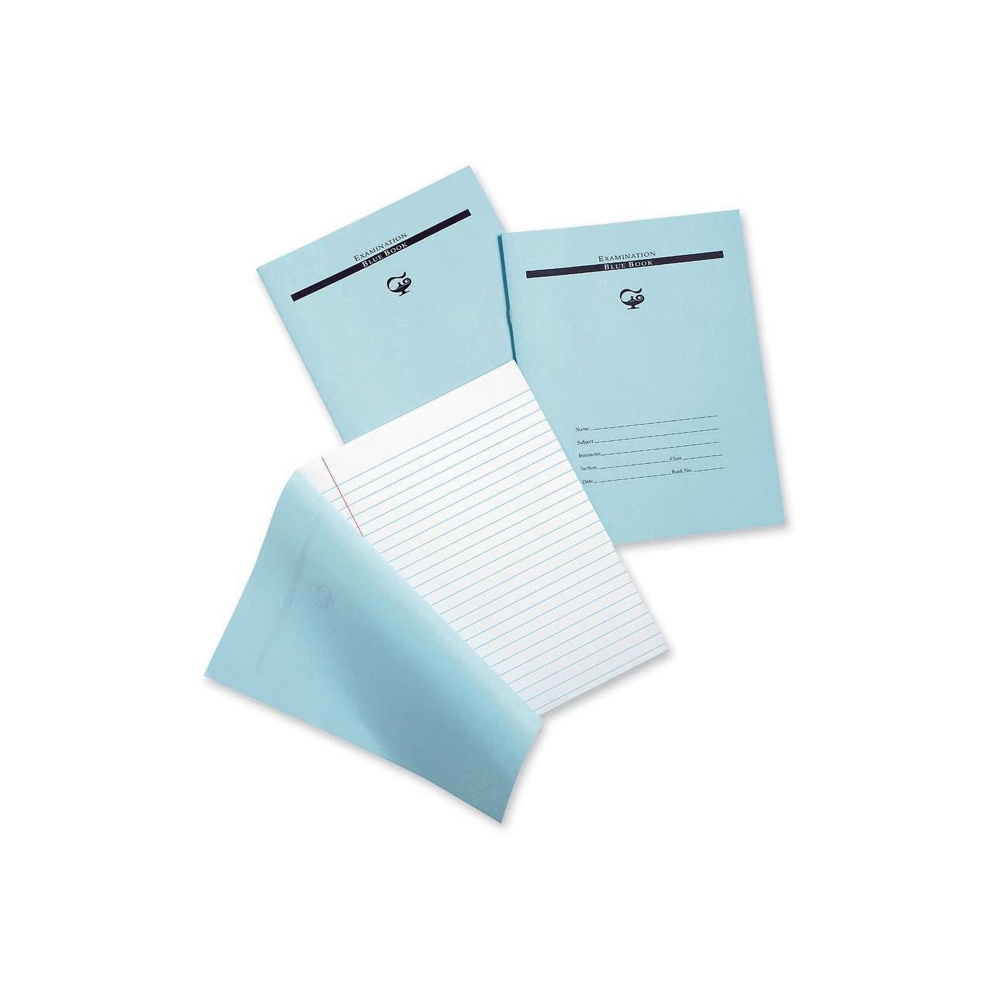 Pacon Blue Book Examination Book