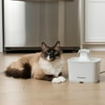 Premier Pet 60 oz. Pet Fountain Automatic water fountain for cats