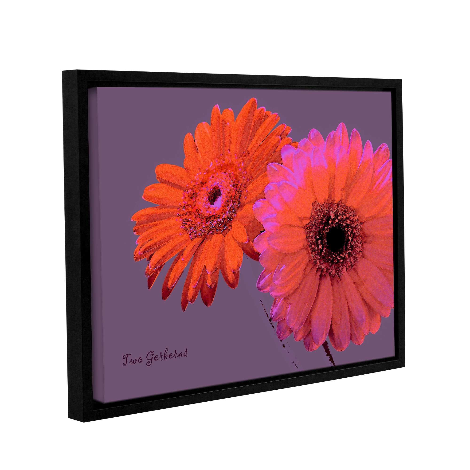 ArtWall Linda Parker "Two Gerberas" Gallery-wrapped Floater-framed Canvas