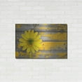 thumbnail image 3 of Luxe Metal Art 'Wood Series: Rustic Daisy', Metal Wall Art, 36"x24", 3 of 9