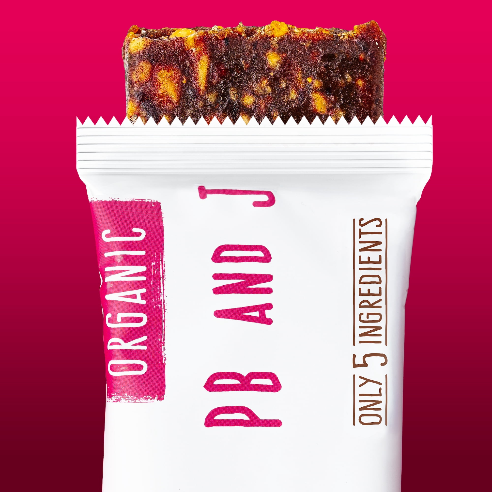 Organic Peanut Butter & Jelly Fruit & Nut Bar, Jonesbar, Certified Organic & Kosher, Gluten Free, Vegan, 12 Count (Pack of 1)