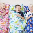 thumbnail image 2 of Wildkin Original tapete para siesta con almohada reutilizable para niños y niñas, perfecto para fiestas de pijamas en guarderías primarias, cuenta con cierre de gancho y bucle, materiales de mezcla de, 2 of 5