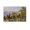 Unframe-style, variant on Paul Cezanne Print Painting (8) Print Photo Art Painting Canvas Poster Home Decorative Bedroom Modern Decor Posters Gifts 12x18inch(30x45cm)