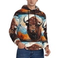 thumbnail image 2 of Sikiie Oil Painting Style Iceberg Yak Men's Hoodie, Essentials Hoodie, Sweatshirt, Pullover Hooded Sweatshirt for Men-Small, 2 of 7