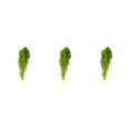 thumbnail image 4 of Toystoory Flores colgantes para puerta de pared artificiales, planta de ratán falso, decoración de jardín, regalos de inauguración de la Type1 NO1, 4 of 6