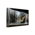thumbnail image 2 of Trademark Fine Art 'Behind the Waterfall' Canvas Art by Kurt Shaffer, 2 of 4