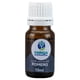 thumbnail image 1 of Caricia Aromática Aceite puro de romero tostado 10ml, 1 of 3