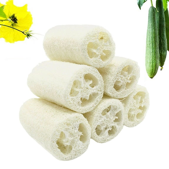AURORA TRADE 6PCS Natural Loofahs, Loofa Sponge Organic Exfoliating Luffa Real Body Scrubbers Skin Face Back Spa Bath Eco Friendly Loofah for Men Women Adults