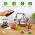thumbnail image 3 of Creations by Nathalie – DIY Small Terrarium Kit for Succulents, Cacti & Air Plants, Includes Premium Soil, Moss, Pebbles & Tools, Plant Starter Kit, Closed Terrarium Supplies, Handmade in USA, 3 of 5