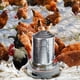 thumbnail image 5 of Base Calefactora Para Bebederos De Aves De Corral De Metal Base Calentador De Agua Para Bebederos De Aves De Corral Speravity PT002746-02, 5 of 6