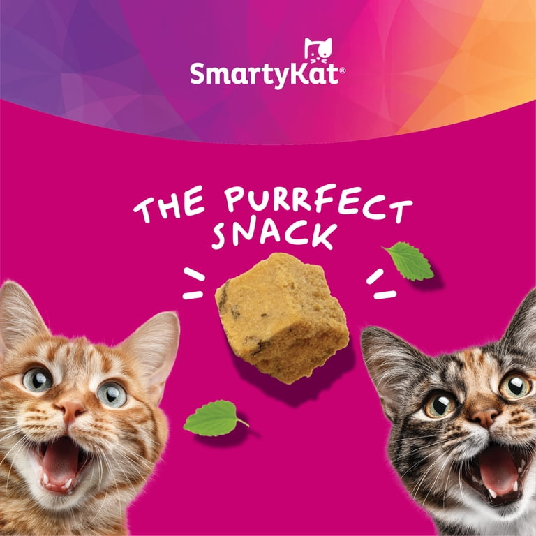 SmartyKat SMK Freeze-Dried Salmon With Catnip Trial Size Pouch 0.3