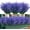 Purple A, variant on 12 Bundles Artificial Boxwood Stems Faux Plants Shrubs, Fake UV Resistant Greenery Foliage Spring for Farmhouse, Home, Garden, Office, Patio, Wedding and Indoor Outdoor Decor A