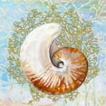 thumbnail image 2 of Diannart 12x12 White Modern Wood Framed Museum Art Print Titled - Shell Medley III, 2 of 4