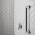 thumbnail image 2 of Moen Maneral Para Regadera Acabado Cromo Modelo T2191, 2 of 2
