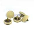 thumbnail image 1 of 60 piezas de remaches para reparación de techo de automóvil, remaches a presión para reparar revestimientos de techo caídos, 1 of 7
