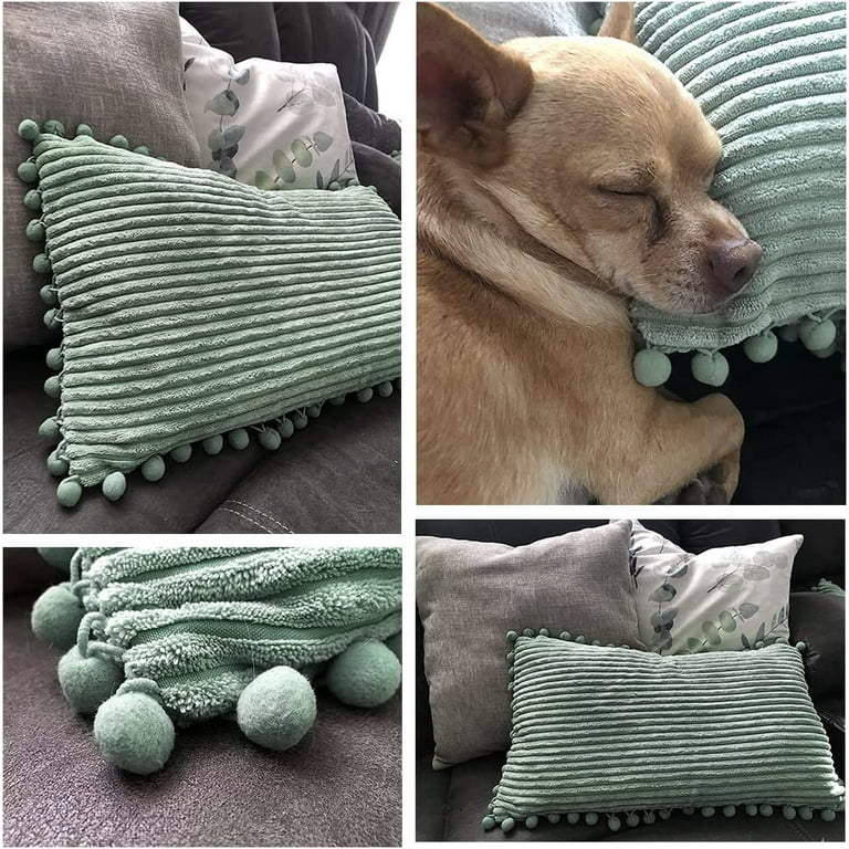 Chihuahua Car Pillows Set of 2 Chihuahua Car Pillows Set of 2