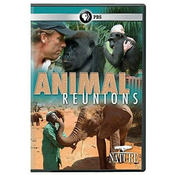 Nature: Animal Reunions (DVD), PBS (Direct), Special Interests