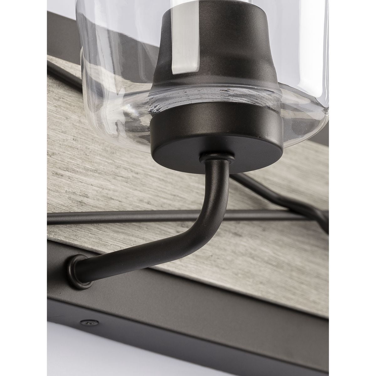 Progress Lighting Briarwood 4-Light Bath Vanity in Graphite with Clear Glass Shades