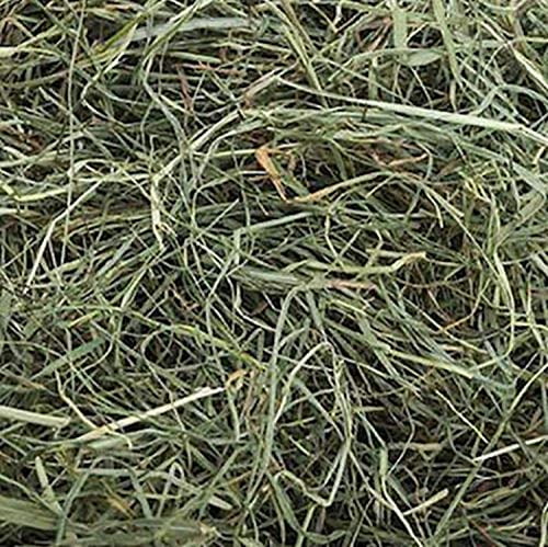 Small Pet Select 1st CuttingHigh Fiber Timothy Hay Pet Food 5-Pound