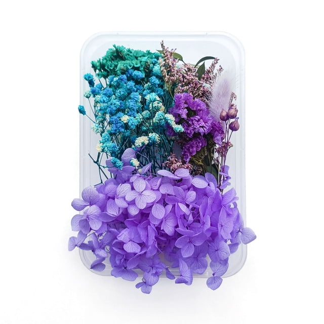Injueey Plantas de flores secas Fabricación en seco para la caja del teléfono móvil Artesanías de velas Adornos de boda hechos a mano Joyería Artesanía tipo11 Injueey HA084403-11