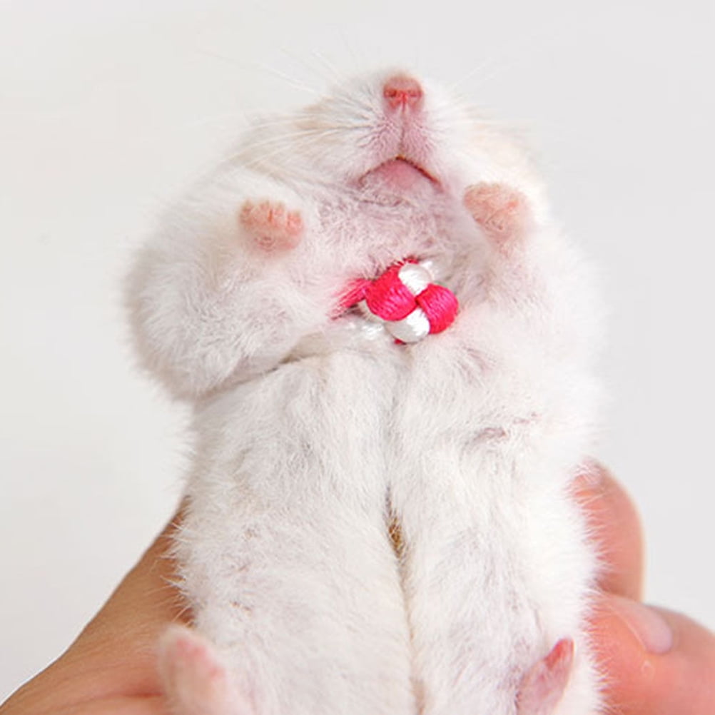 Adjustable Leash Collar Guinea Pig Small Pets Lead Pet Hamster Traction Rope JKU 