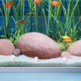 thumbnail image 4 of Miniature Figurines Frog Shaped Glow In The Dark Resin Frogs For Fish Tank Decor 4Pcs, 4 of 4