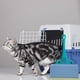 thumbnail image 4 of Soporte de plástico para la pala de arena del gato: resistente, sin ensuciar, ajuste universal; para almacenamiento, orden en el suelo, fácil limpieza, 4 of 6