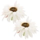 thumbnail image 3 of Clips para sujetar cortinas, 2 uds., decoraciones para cortinas, soportes para cortinas, abrazaderas para sujetar cortinas de girasol, 3 of 8
