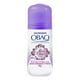 thumbnail image 1 of Desodorante antitranspirante Garnier Obao miss sexy en roll on para dama 65 g, 1 of 4