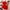 Red, variant on ATOGUTA Girls Floral Outfits Kids Sleeveless Crop Tank Top Shorts Tween Girls Trendy Clothing Set Red, Size 8-13 Years
