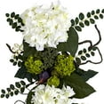 thumbnail image 2 of Goutte d'Hortensia de 28 Po, 2 of 2