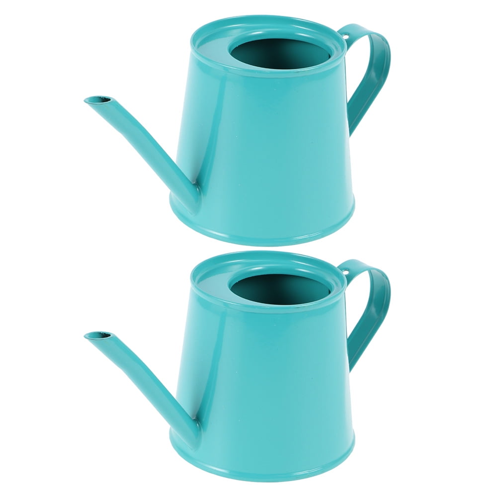 Watering Can Flower Vase Metal Kids Mini Bucket Gardening Jug French