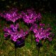 thumbnail image 4 of Luces solares de estaca para jardín al aire libre, luces decorativas impermeables en forma de Phalaenopsis para jardín, Patio, patio trasero Aespa kaili Sencillez, 4 of 4