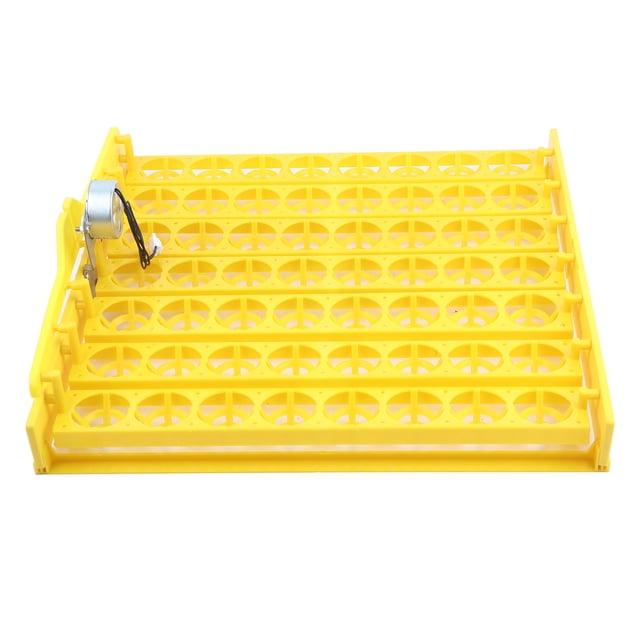 Mini incubadora de 56 huevos Nikou Bandeja giratoria automática Motor 100-120 V