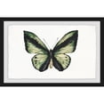 thumbnail image 2 of Hunter Green Butterfly Framed Painting Print, 2 of 5