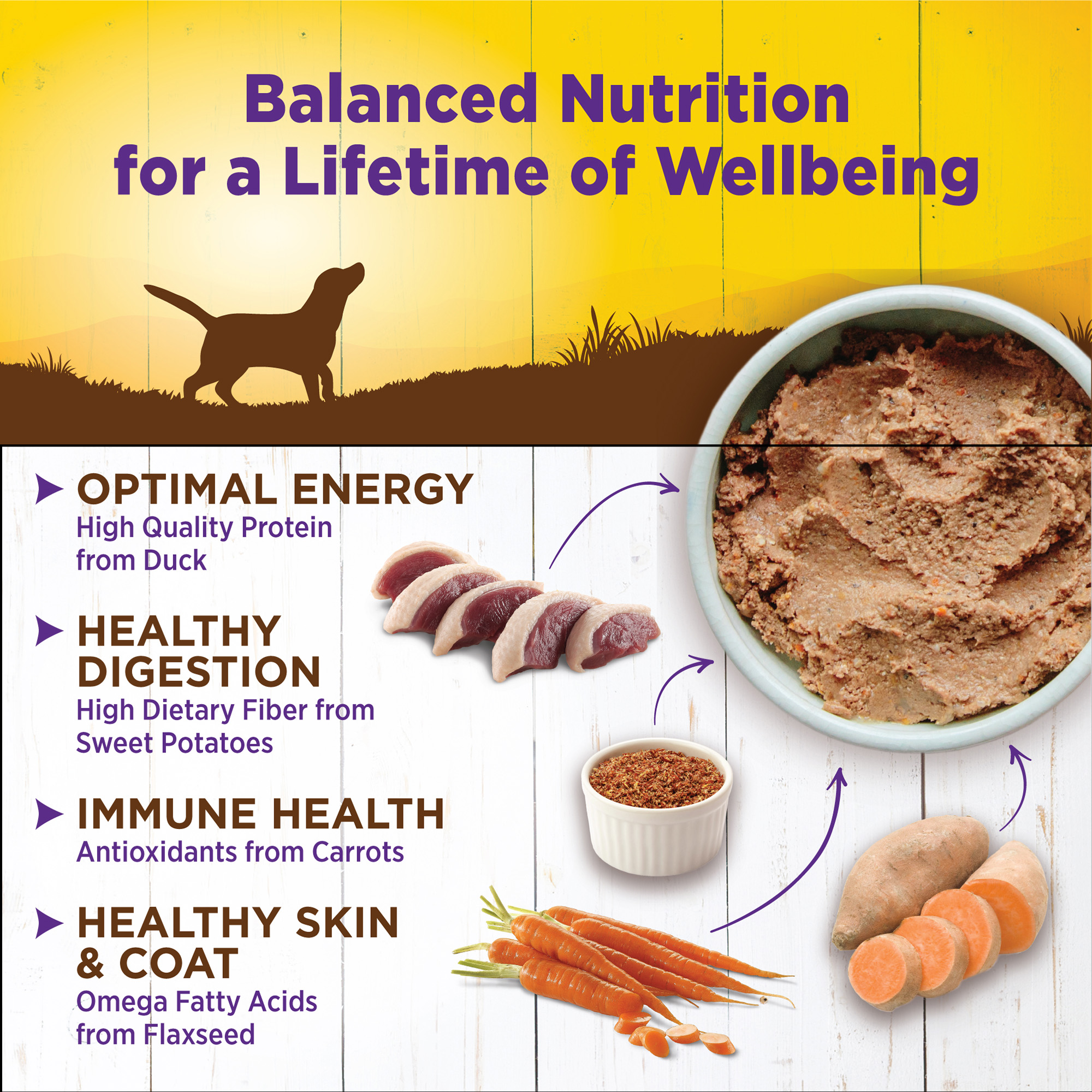Wellness Complete Health Natural Wet Canned Dog Food, Duck & Sweet Potato, 12.5-Ounce Can (Pack of 12) - image 4 of 7