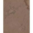 thumbnail image 3 of Sir Peter Lely 12x14 Black Modern Framed Museum Art Print Titled - Drawings of Hands (1650S-1660s), 3 of 5