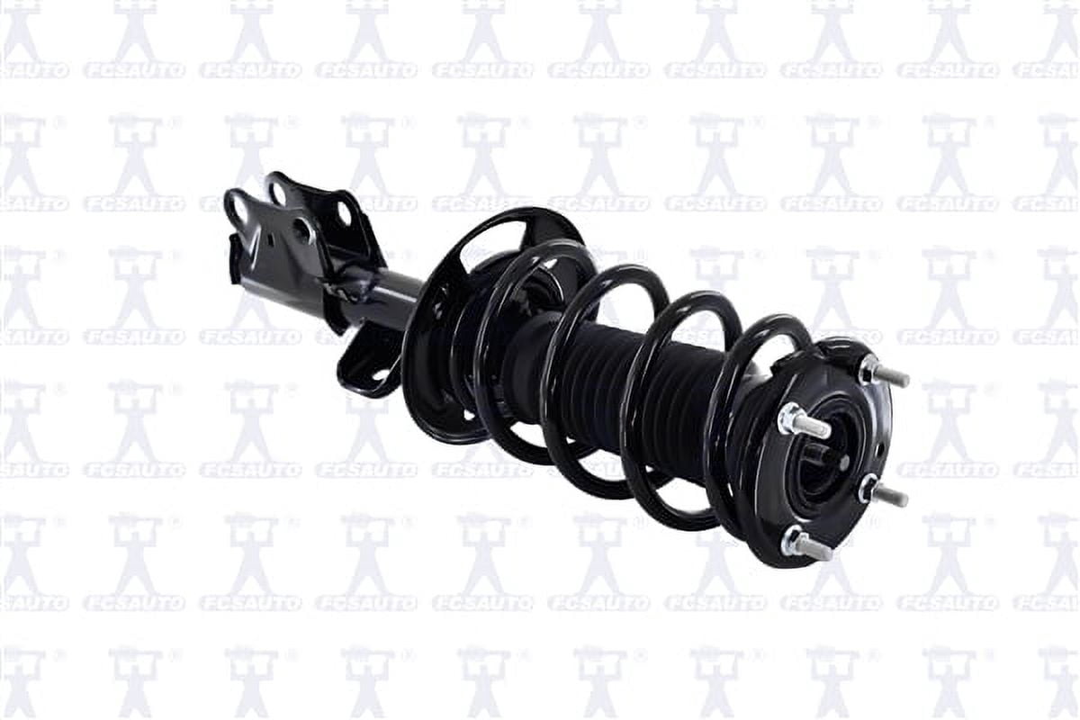 Suspension Strut and Coil Spring Assembly