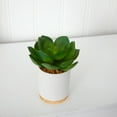thumbnail image 3 of Nearly Natural 6" Succulent Artificial Plant in White Ceramic Planter, Green, 3 of 4